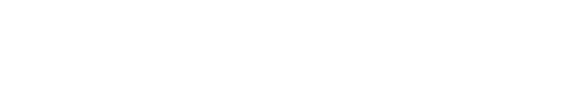Logo horizontal - blanco 2